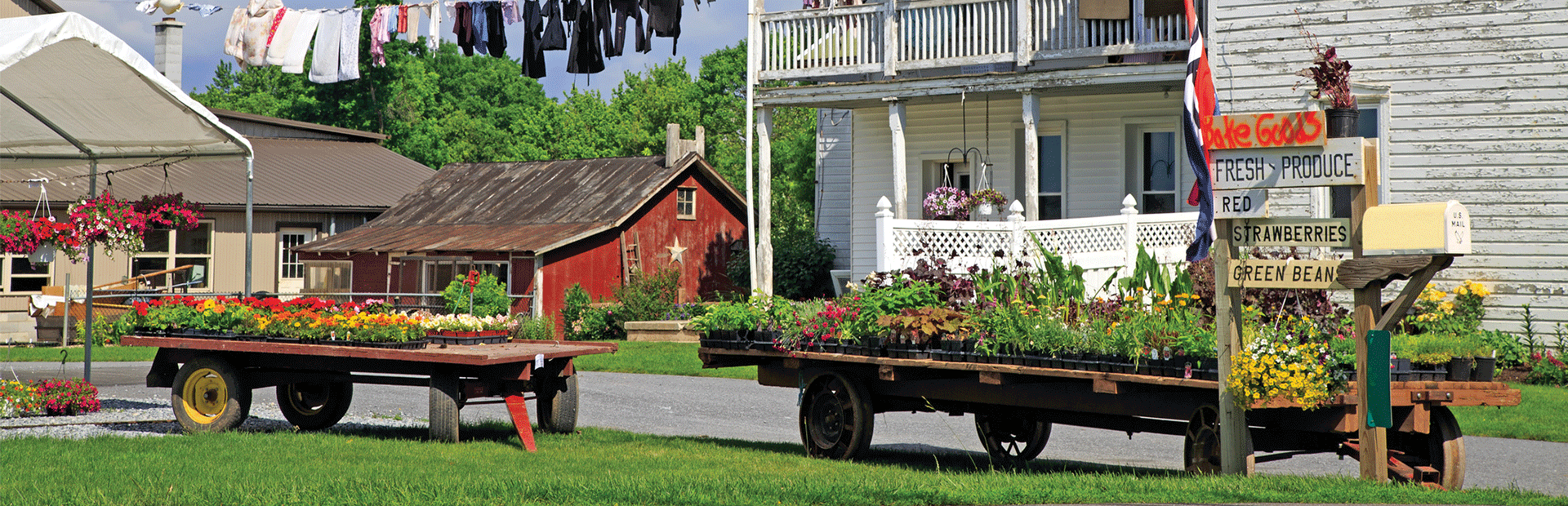 Amish Quilt Gardens, Food and Fun Presley Tours